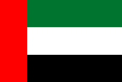 Dubai UAE Flag